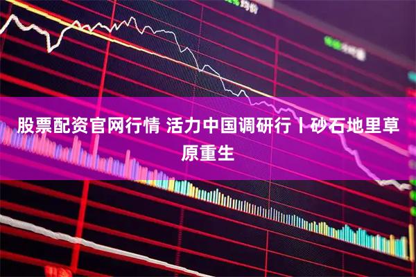 股票配资官网行情 活力中国调研行丨砂石地里草原重生