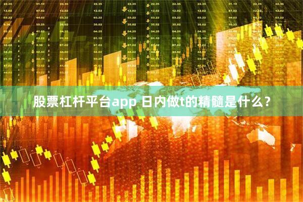 股票杠杆平台app 日内做t的精髓是什么？