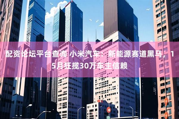 配资论坛平台查询 小米汽车：新能源赛道黑马，15月狂揽30万车主信赖