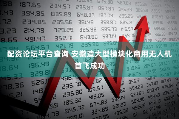 配资论坛平台查询 安徽造大型模块化商用无人机首飞成功